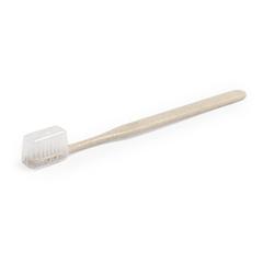 Vue générale Brosse à Dents Cleidol | Krokrodeal