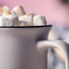 Vue générale Tasse Bercom | Krokrodeal