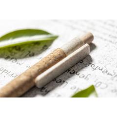 Vue générale Stylo Clover | Krokrodeal