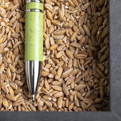 Vue générale Stylo Nukot | Krokrodeal