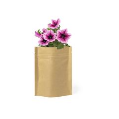 Vue générale Pot de Fleurs Sober | Krokrodeal