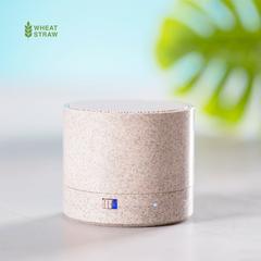 Vue générale Haut-Parleur Cayren | Krokrodeal