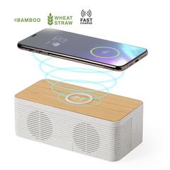 Vue générale Haut-Parleurs Chargeur Trecam | Krokrodeal