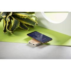 Vue générale Power Bank Merak | Krokrodeal