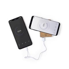 Vue générale Power Bank Merak | Krokrodeal