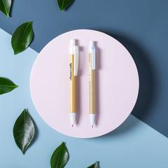 Vue générale Stylo Vatum | Krokrodeal