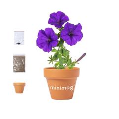 Vue générale Pot de Fleurs Soltax | Krokrodeal