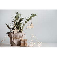 Vue générale Set Ornement Noël Tilmex | Krokrodeal