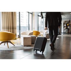 Vue générale Trolley Dacrux | Krokrodeal