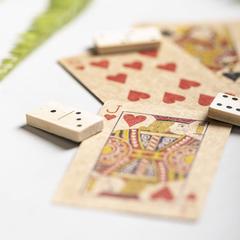 Vue générale Set Jeu Halin | Krokrodeal