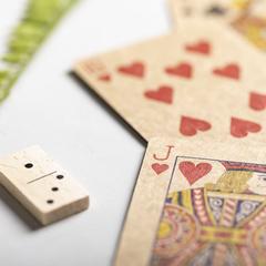 Vue générale Set Jeu Halin | Krokrodeal