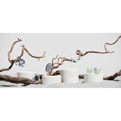 Vue générale Boucles d'Oreille Moss | Krokrodeal