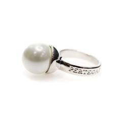 Vue générale Bague Ajustable Tegux | Krokrodeal
