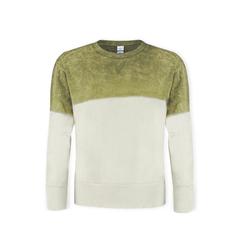 Vue Sweat-Shirt Adulte Truyi de couleur vert| Krokrodeal