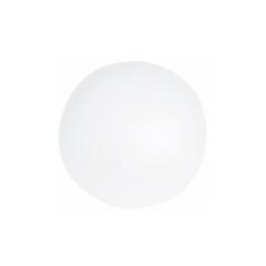 Vue Ballon Portobello de couleur translucide| Krokrodeal