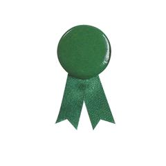 Vue Pin's Ruban Solidario de couleur vert| Krokrodeal