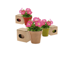 Vue générale Pot de Fleurs Advert | Krokrodeal