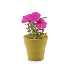 Vue générale Pot de Fleurs Advert | Krokrodeal