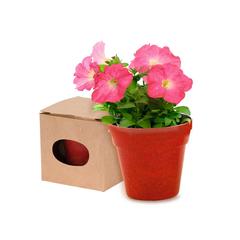 Vue générale Pot de Fleurs Advert | Krokrodeal