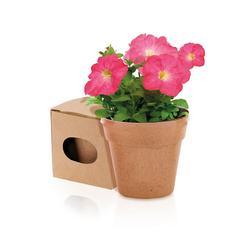 Vue Pot de Fleurs Advert de couleur beige| Krokrodeal